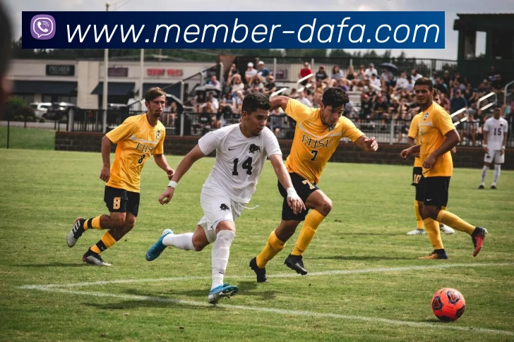 大发彩票平台生态图